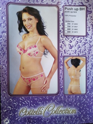 Push 85b a 212873 - push, bh